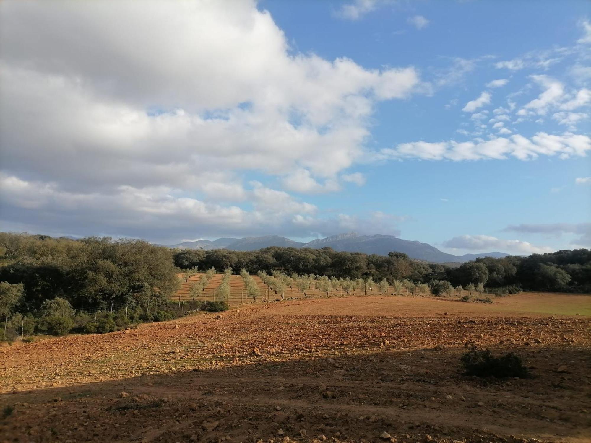 Casa Rural El Contarin - An Andalusian Escape, Archidona, Malaga Exterior photo